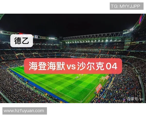 海登与汉诺威对决前瞻分析及比赛结果预测