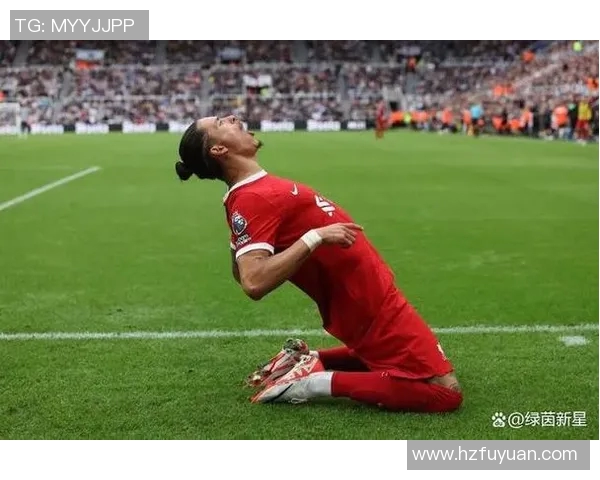 努涅斯的崛起与挑战：解析这位新星在足球世界中的影响力与未来潜力