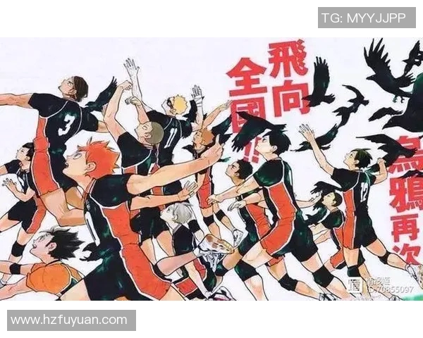 吴伟独家分享排球心得与技巧助你提升球技的秘诀与经验交流