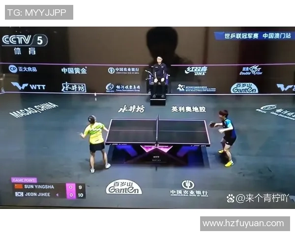 北京篮球队在挑战赛中的战术表现分析与点评探讨